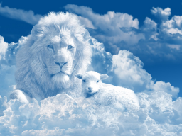 DAS WEISSE LICHT DER LIEBE - Christus Energie