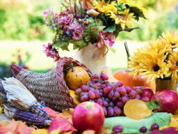 FÜLLHORN REIKI - Versorgung