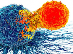 Gegen Krebsrisiko - Schützender Mystischer Fluss