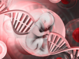 Ätherische Versorgung all in one © - Die ätherische Nabelschnur (konstante Versorgung)