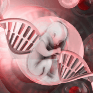 Ätherische Versorgung all in one © - Die ätherische Nabelschnur (konstante Versorgung)