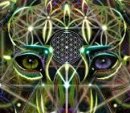 FEMININE LEOPARD POWER ELIXIR - anmutig & verzaubernd