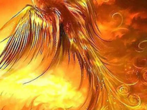 POWER EROTIC PHEROMON - ELIXIR - Partner(in) anziehen