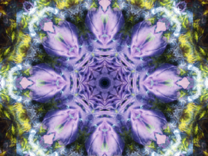 Aufstieg und Schwingungserhöhung 5. Dimension