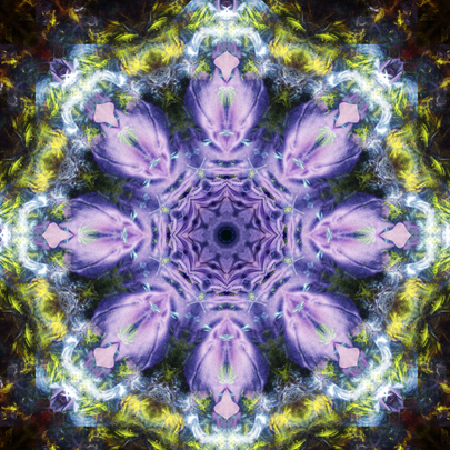 Aufstieg und Schwingungserhöhung 5. Dimension