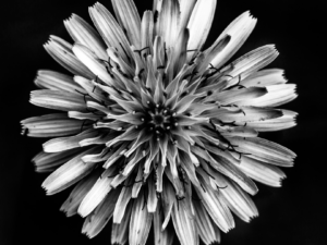 Auragenerierung Ermächtigung (3 Funktionen)