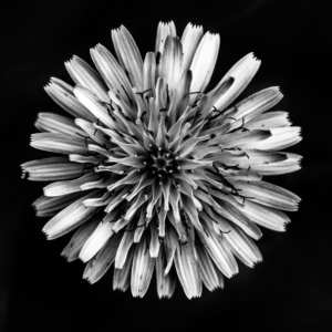 Auragenerierung Ermächtigung (3 Funktionen)