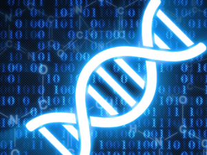 ESSENTIELLE DNA-SCHUTZSCHILD-AKTIVIERUNG - DNA-Regeneration
