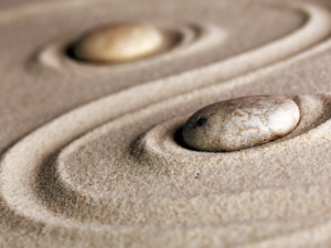 ESSENZ ZUR ENTFERNUNG VON TOXISCHEM DENKEN