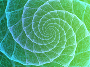 Flow Care ™ für das Lymphsystem