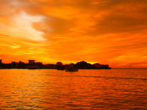 Hypothalamus - Hypophyse - Hormonsteuerung!