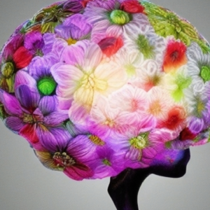 SYNAPSE CARE - Gehirnsynapsen Fürsorge (optimale Verstandesfunktion)