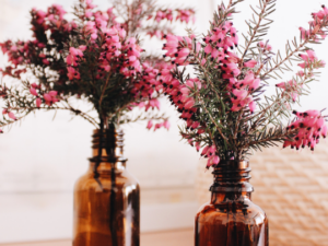 Seele zu Seele, Herz zu Herz, Seelenverwandte Verbindung Aktivierung