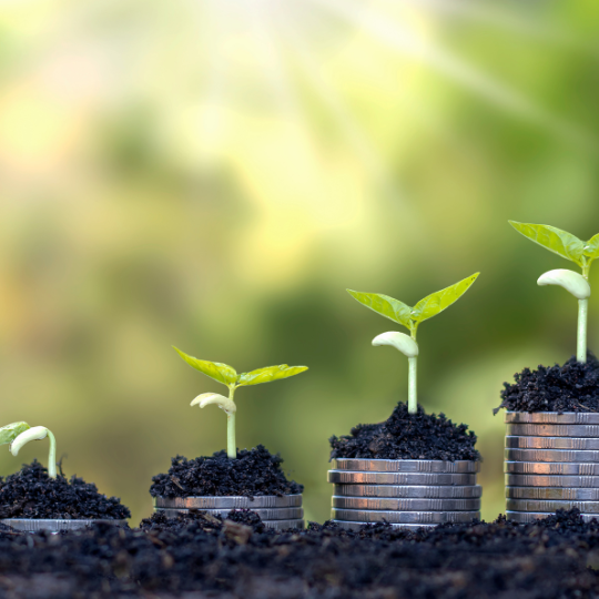 Khodam Mustika Energie© - Wohlstand/Reichtum