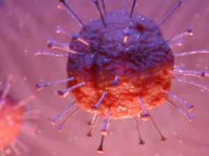 VIRUS INHIBITOR FELD - Selbsteinweihung