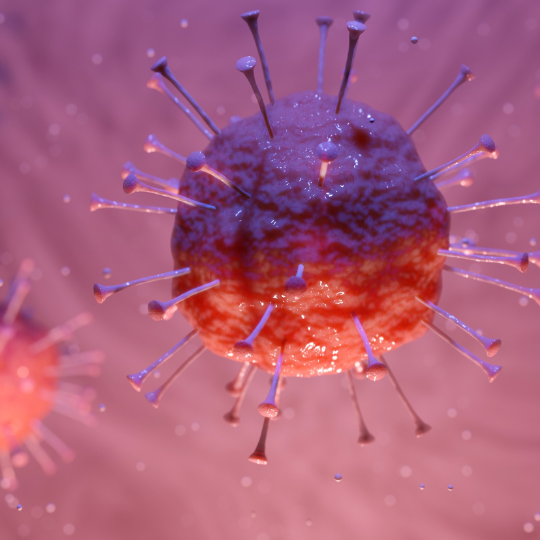 VIRUS INHIBITOR FELD - Selbsteinweihung