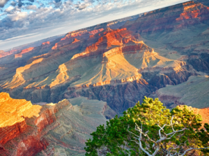 AVALON - Divine Connection of priest's energy and magic