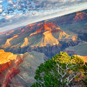 AVALON - Divine Connection of priest's energy and magic