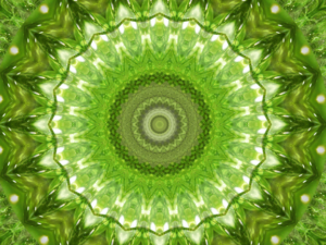 Coaching-Serie "SOULMIX" - Sonder-Edition!