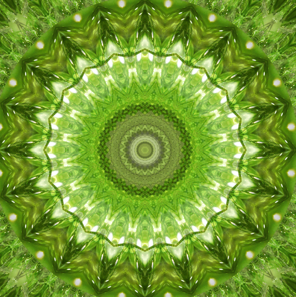 Coaching-Serie "SOULMIX" - Sonder-Edition!