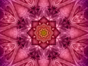 Coaching-Serie "CONNECTION" - Sonder-Edition!