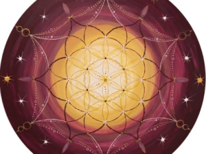 FREQUENZ-CODE UNSTERBLICHKEIT - nach Natara