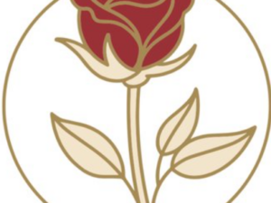 Java-Energie - MENGANGKANG EISENSTARKE ENERGIE ESSENZ - Business- & Liebes-Booster