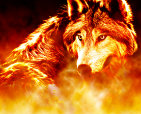 Elven Fire - Wolf Feuerwolf der Elfen (Beseitigung u. Zerstörung jeglicher Hindernisse)