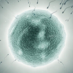 AUFLÖSUNG DER NEGATIVEN EINFLÜSSE WÄHREND DER ZEUGUNG - nach Natara®/Baeyun