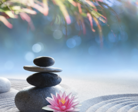 THE STILLNESS-OF-TAO FLOW SYSTEM (Ein 4-stufiges Wu-Wei-Aktivierungssystem für mühelosen inneren Frieden)