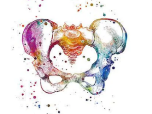 THE PELVIC ROOT SOVEREIGNTY GRID (Die heilige Kraft des unteren Fundaments zurückgewinnen -Ein vierstufiges energetisches Rekonstruktionssystem - Beckenboden)