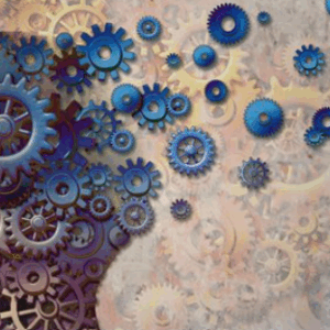 THE SPERMIDINE HEARTVASCULAR RADIANCE STREAM (Bioenergetische Übersetzung der kardiovaskulären Vorteile von Spermidin)