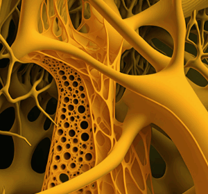 THE NUTRI-LIGHT INTEGRATION FIELD (Energetische Installation von Kalzium- und Vitaminintelligenz für strukturelle und zelluläre StrahlkraftEin 4-stufiges energetisches Nährstofffeld für Stärke, Klarheit und regenerative Vitalität)