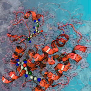 THE GLUTA-CODE RESTORATION SYSTEM (Meisterhaftes Antioxidantienfeld für Zellreinheit, DNA-Schutz und spirituelle Immunität. Ein energetisches Glutathion-System auf vier Ebenen zur Entgiftung und spirituellen Regeneration)